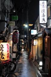 JT-Japan-Kyoto-Pontocho-Night-Alley-Cat-2019-3266-DS.jpg